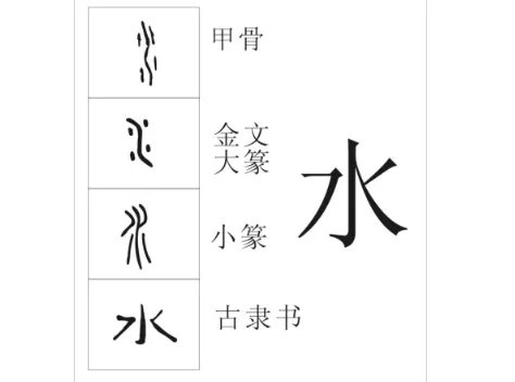 水字旁的字有哪些字?
