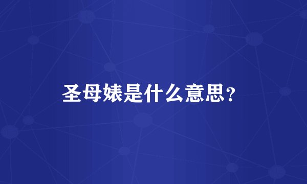 圣母婊是什么意思？