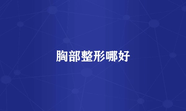 胸部整形哪好