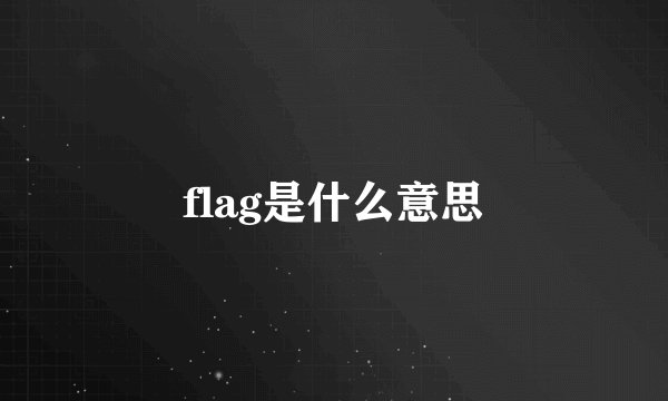 flag是什么意思