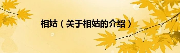 相姑（关于相姑的介绍）