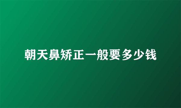 朝天鼻矫正一般要多少钱