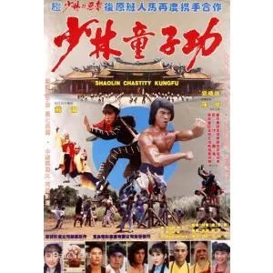 少林童子功的剧情简介