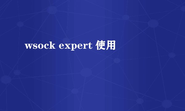 wsock expert 使用