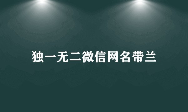 独一无二微信网名带兰