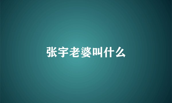 张宇老婆叫什么