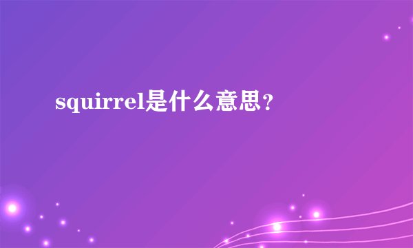 squirrel是什么意思？