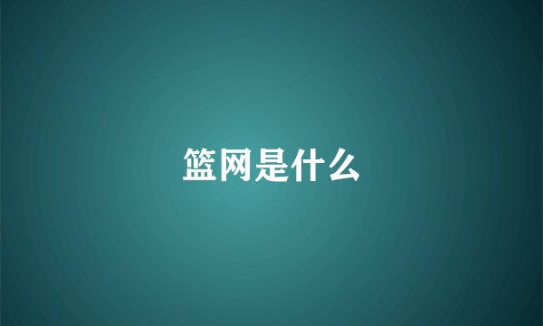篮网是什么