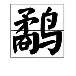 鹬怎么读