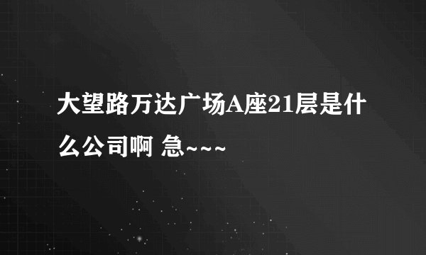大望路万达广场A座21层是什么公司啊 急~~~