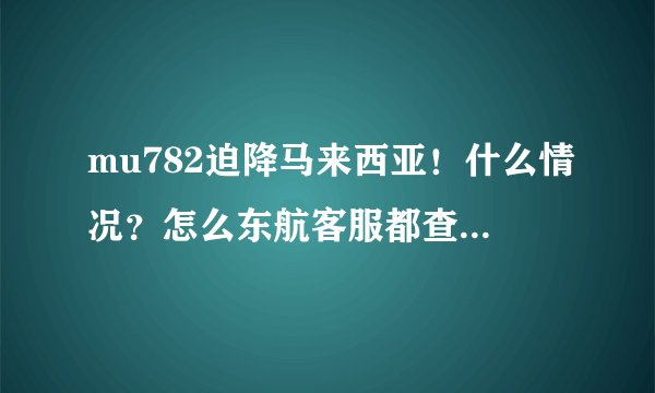 mu782迫降马来西亚！什么情况？怎么东航客服都查不到航班信息了？失踪了吗？