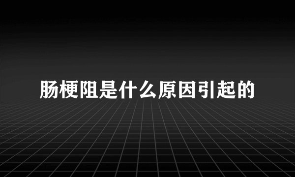 肠梗阻是什么原因引起的