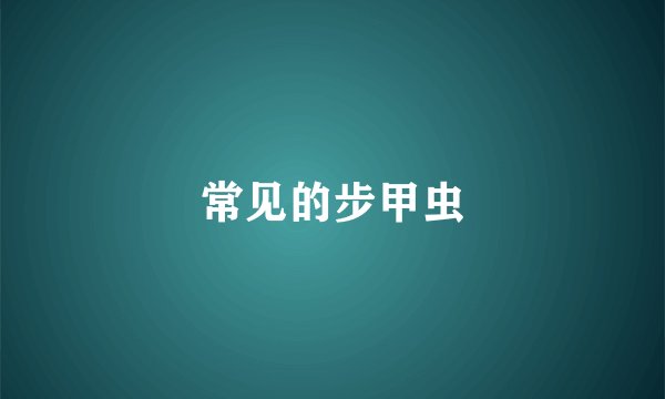 常见的步甲虫