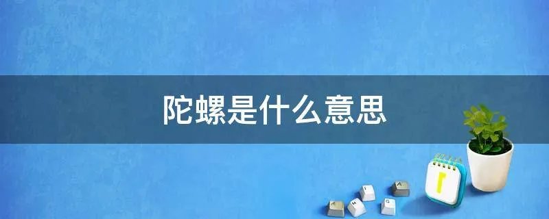 陀螺是什么意思