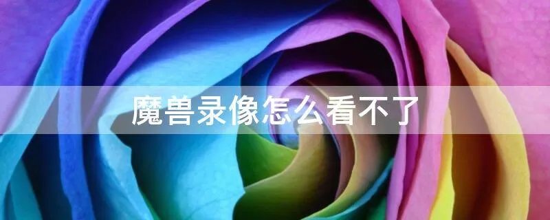 魔兽录像怎么看不了