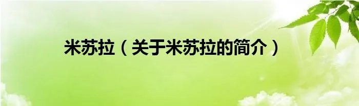 米苏拉（关于米苏拉的简介）