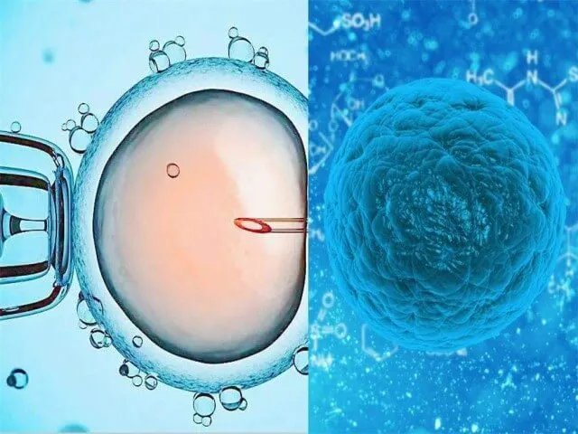 黏多糖贮积症pms携带者想生健康孩子可以做试管三代吗？
