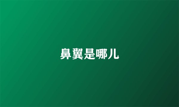 鼻翼是哪儿