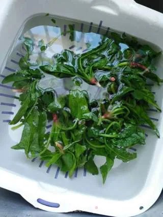 菠菜炒鸡蛋