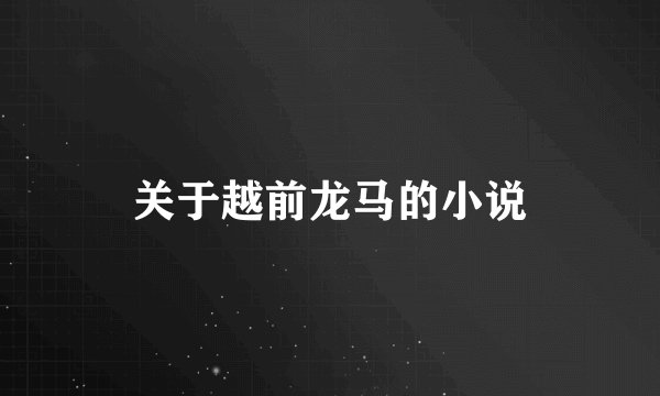 关于越前龙马的小说
