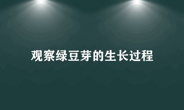 观察绿豆芽的生长过程