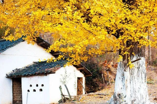 随州有哪些著名的旅游景点?