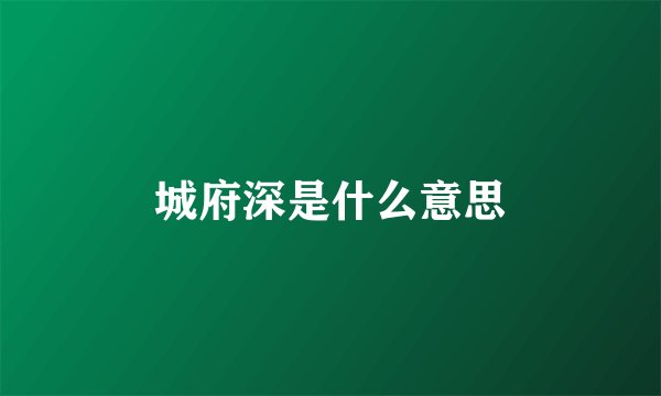 城府深是什么意思