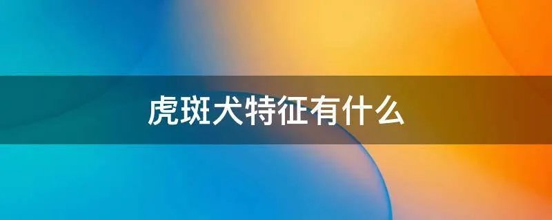 虎斑犬特征有什么
