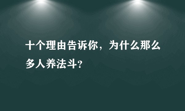 十个理由告诉你，为什么那么多人养法斗？