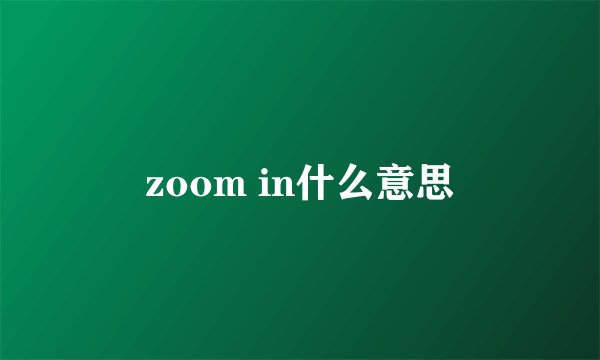 zoom in什么意思