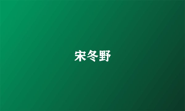 宋冬野