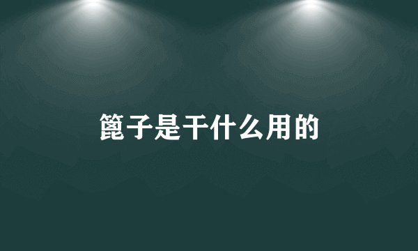 篦子是干什么用的
