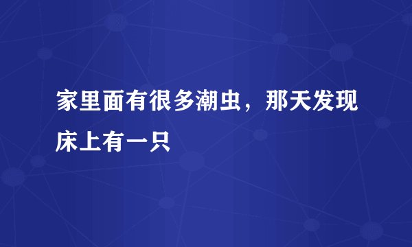 家里面有很多潮虫，那天发现床上有一只