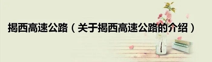 揭西高速公路（关于揭西高速公路的介绍）