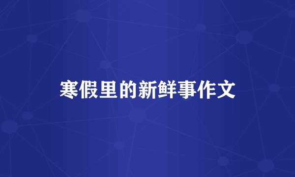 寒假里的新鲜事作文