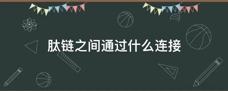 肽链之间通过什么连接