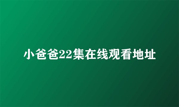 小爸爸22集在线观看地址