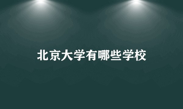 北京大学有哪些学校