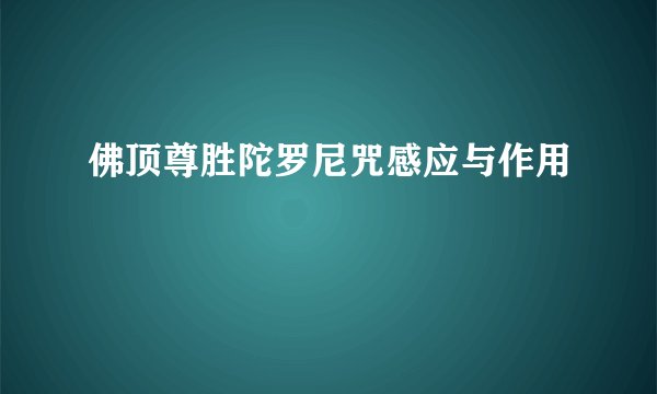 佛顶尊胜陀罗尼咒感应与作用