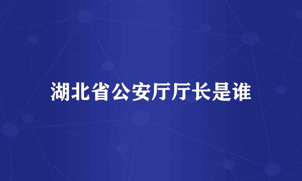 湖北省公安厅厅长是谁