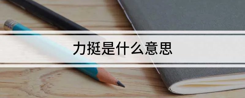 力挺是什么意思
