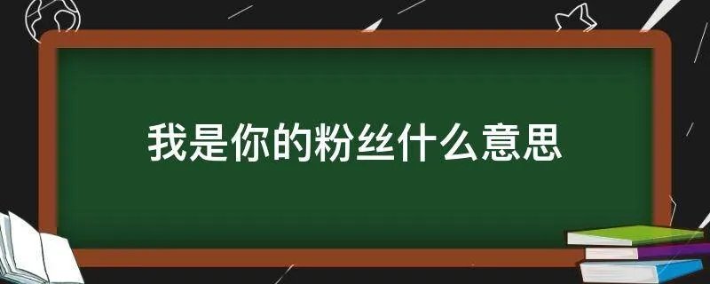 我是你的粉丝什么意思