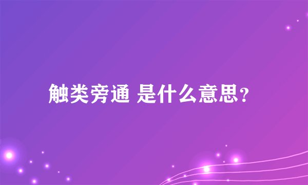 触类旁通 是什么意思?