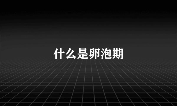 什么是卵泡期
