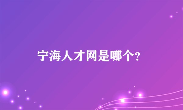 宁海人才网是哪个?