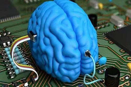 如果模拟人脑项目没有失败,人类的意识是不是真的就可以达到永生?