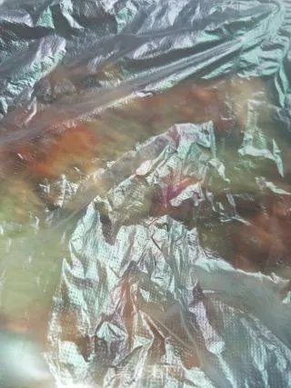 烤羊排