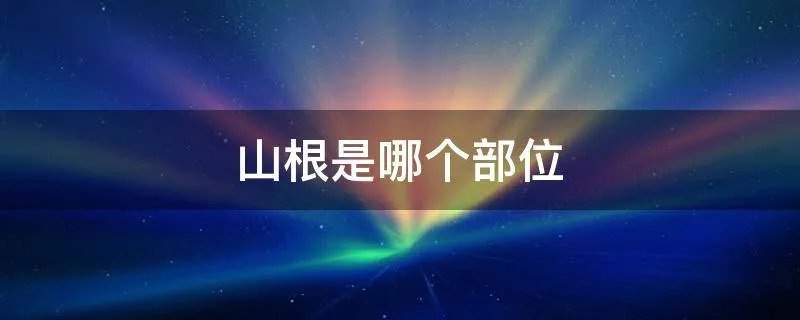 山根是哪个部位