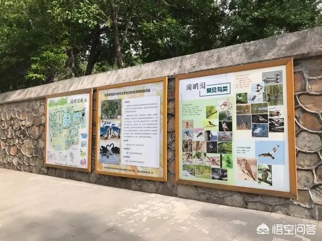 圆明园的最佳游览路线是什么?