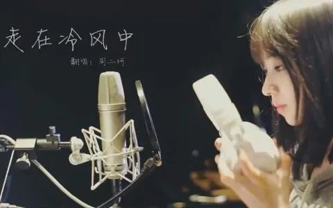歌词，走在冷风中那句法语什么意思?